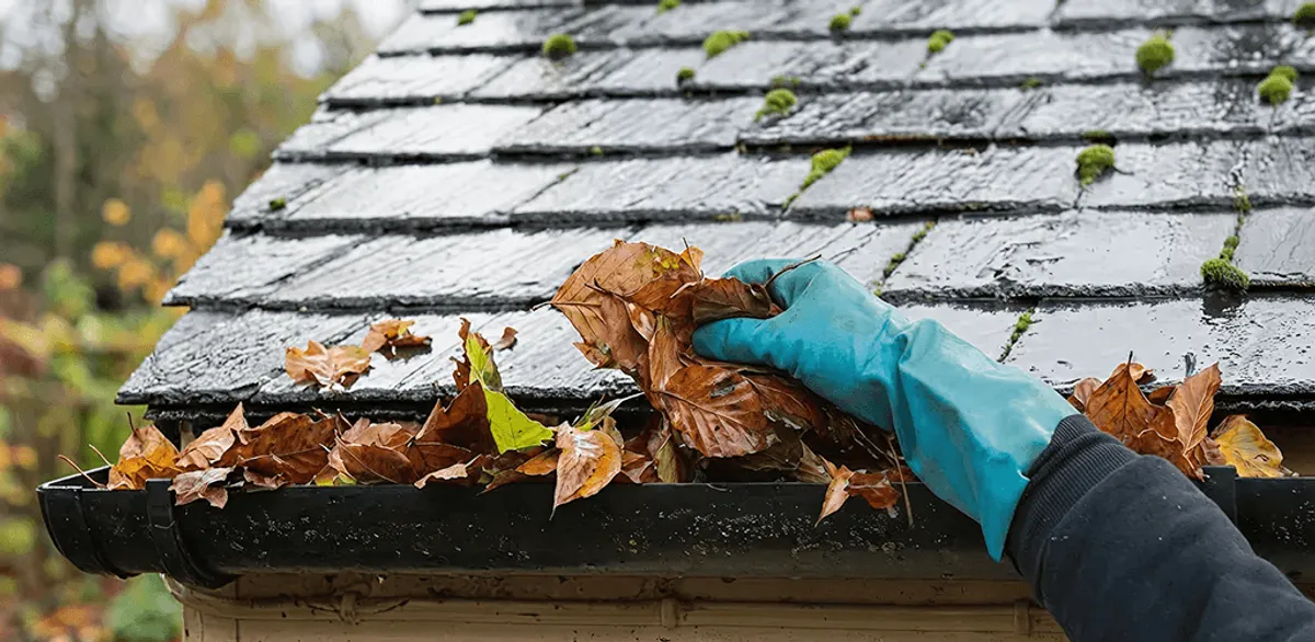 Gutter cleaning technician clearing wet leaves from roof gutters in Tucson, AZ